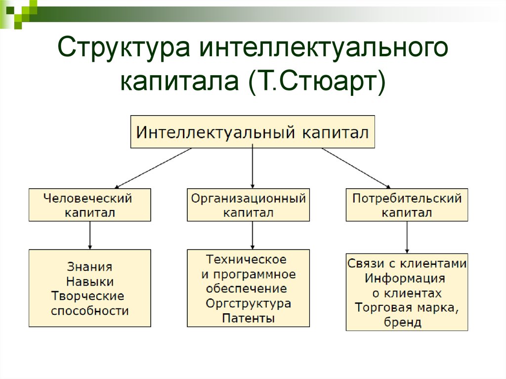 Идея проекта это интеллектуальный капитал