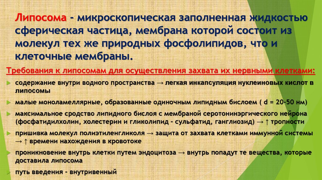 Липосома - микроскопическая заполненная жидкостью сферическая частица, мембрана которой состоит из молекул тех же природных