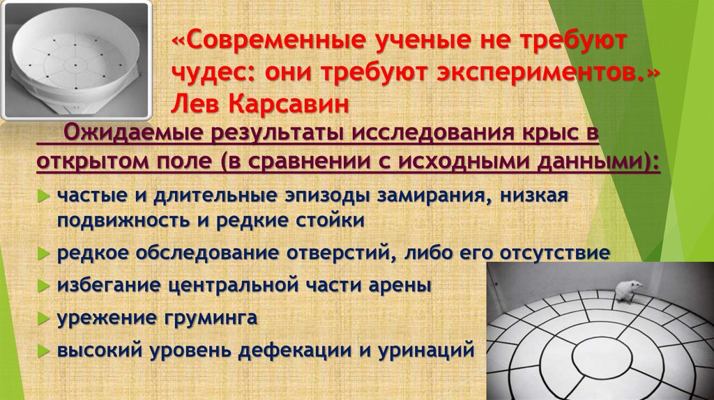 Левый эксперимент. Левый эксперимент