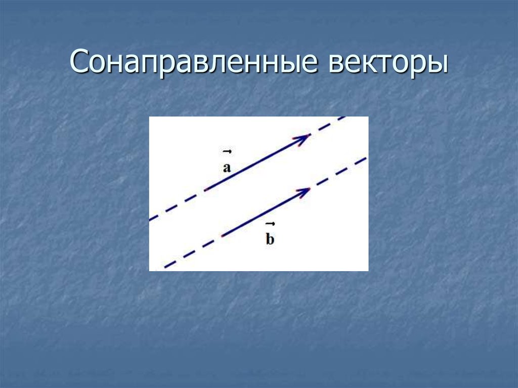 Изобразите на рисунке векторы. Сонаправленные векторы чертеж. Сонапраленные вектора. Сонапрвленннй векторы. Сонапрааокннве вектора.