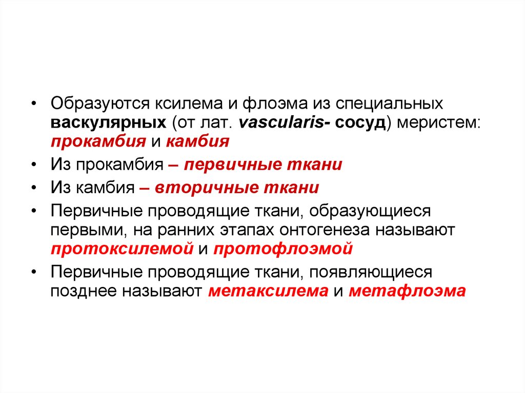 Вторичные ткани. Ткани образующиеся из васкулярных меристем. Что образовывается из васкулярная меристема. Из васкулярной меристемы образуется. Укажите постоянные ткани образующиеся из васкулярных меристем.