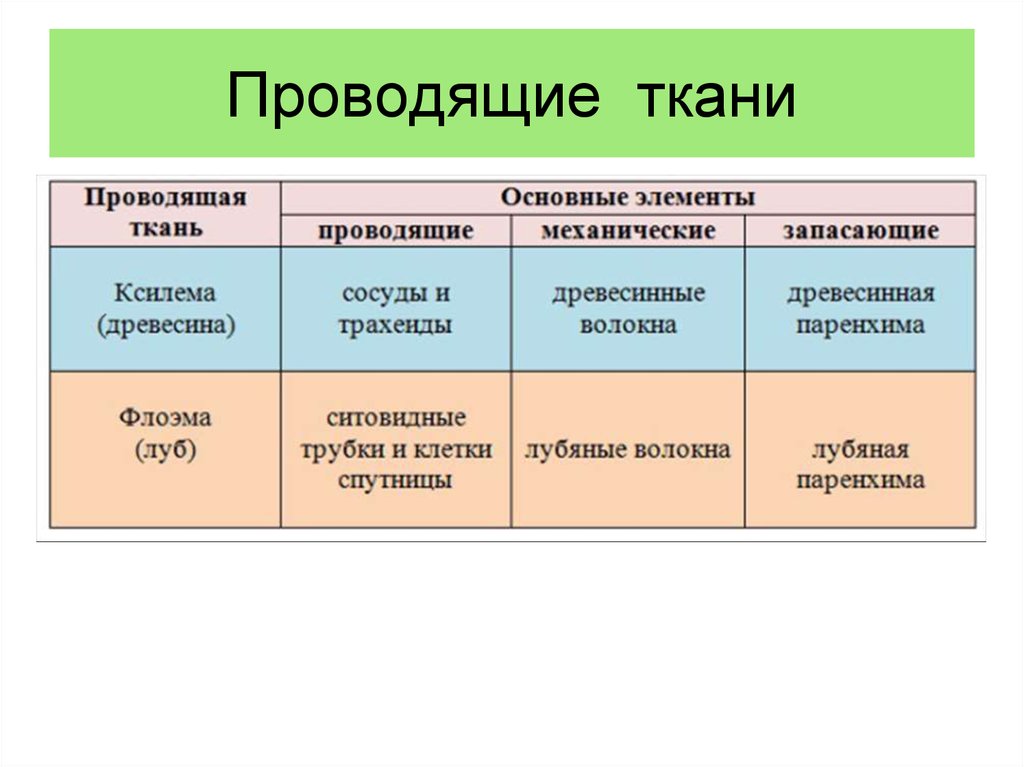 Механическая проводящая