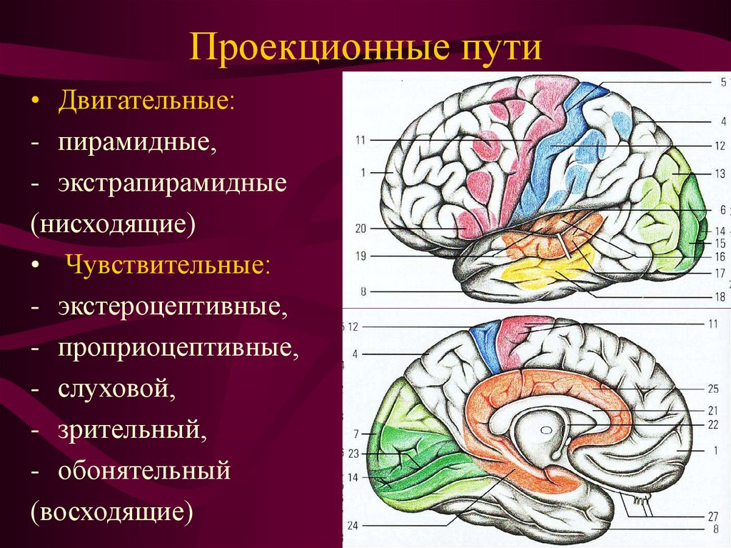 Ассоциативные системы