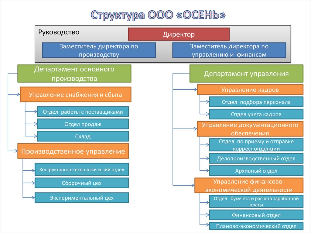 Cтруктура ООО «ОСЕНЬ»