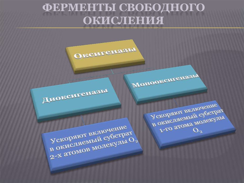 Свободные ферменты. Ферменты свободного окисления. Окисление ферментов. Ферменты биологического окисления. Свободное окисление.