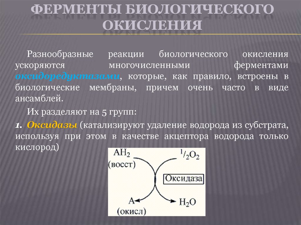 Характеристика ферментов участвующих в. Ферменты и коферменты биологического окисления. Окисление ферментов. Реакции биологического окисления. Ферменты биологического окисления.