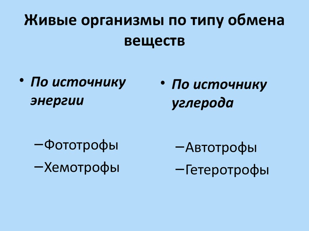 Обмен веществ биология 8 класс кратко