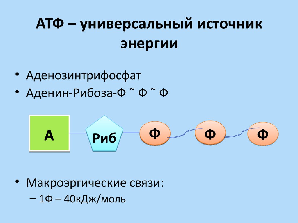 Молекула атф схема