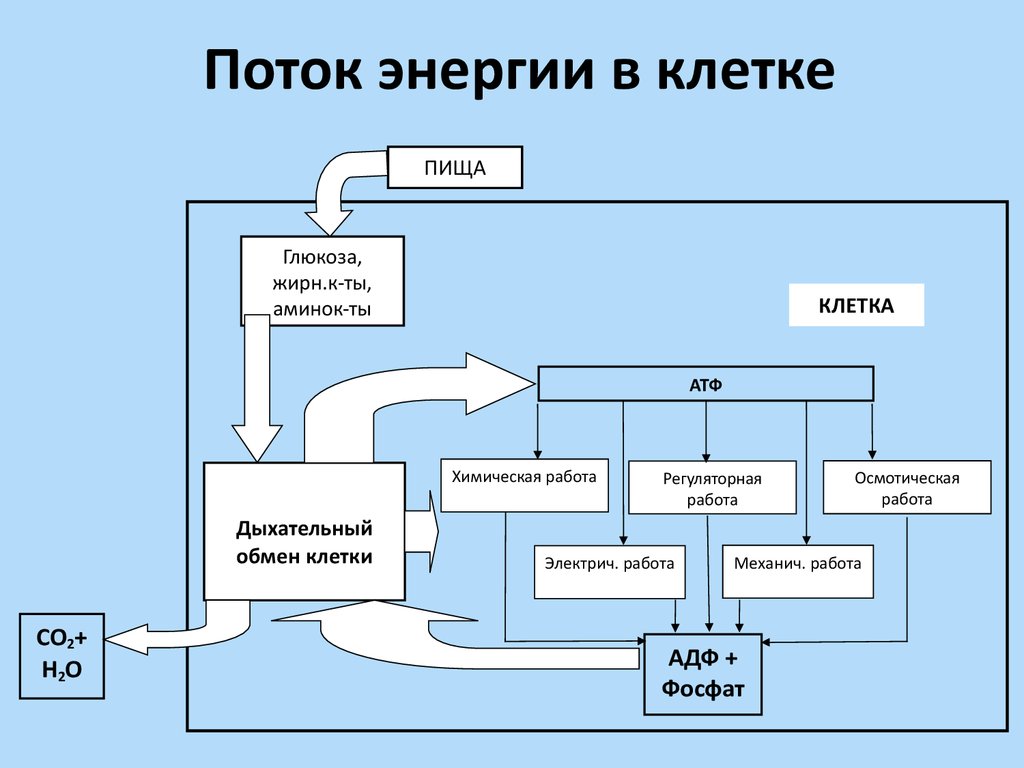 Схема потока энергии