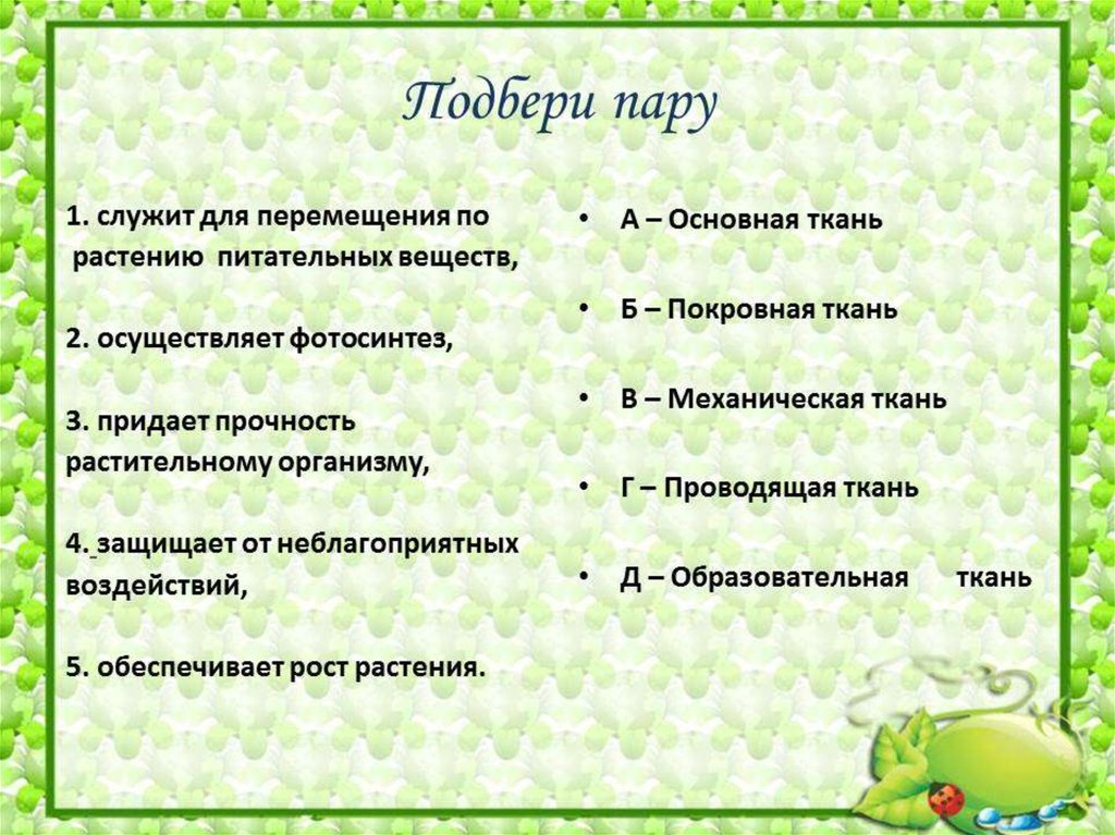 Что такое ткань в биологии 5 класс. Загадка про ткани растений. Биология 5 класс тема ткани. Презентация по биологии на тему ткани 5 класс. Загадки о тканях по биологии.