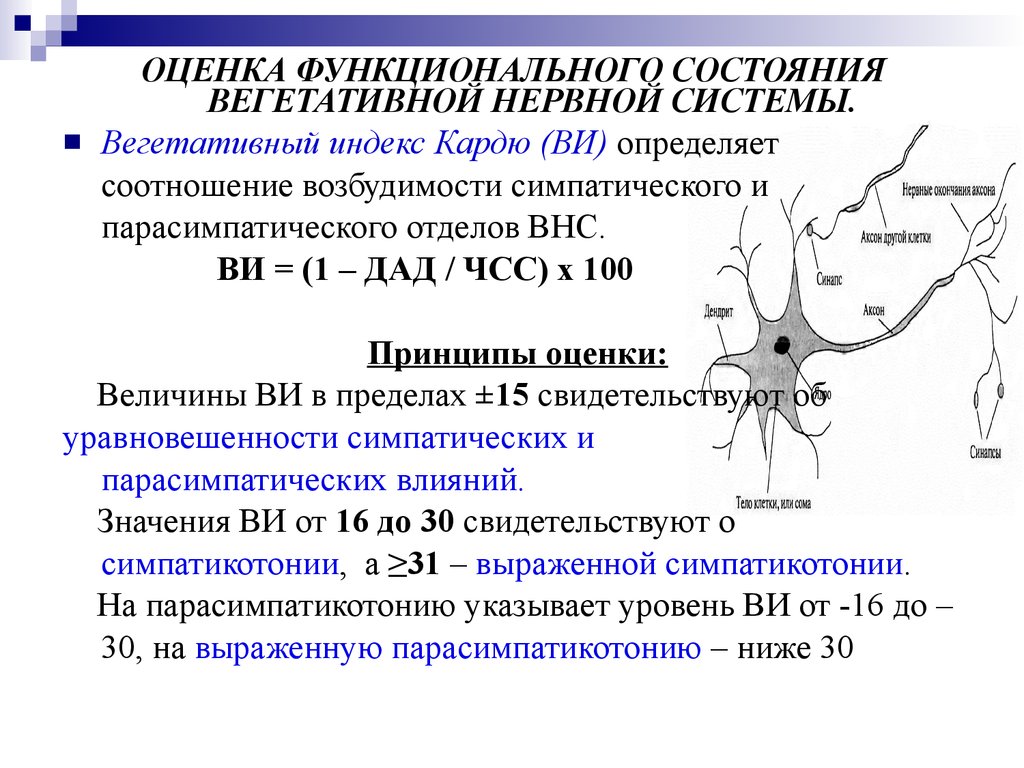 Вегетативные пробы