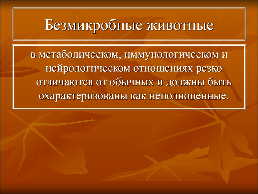 Резко отличающихся. Безмикробные животные. Безмикробные линии животных. Безмикробные животные это примеры. Гнотофоры.