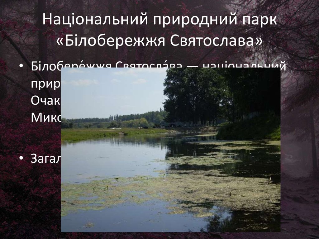 Національний природний парк «Білобережжя Святослава»