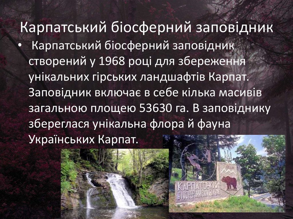 Карпатський біосферний заповідник