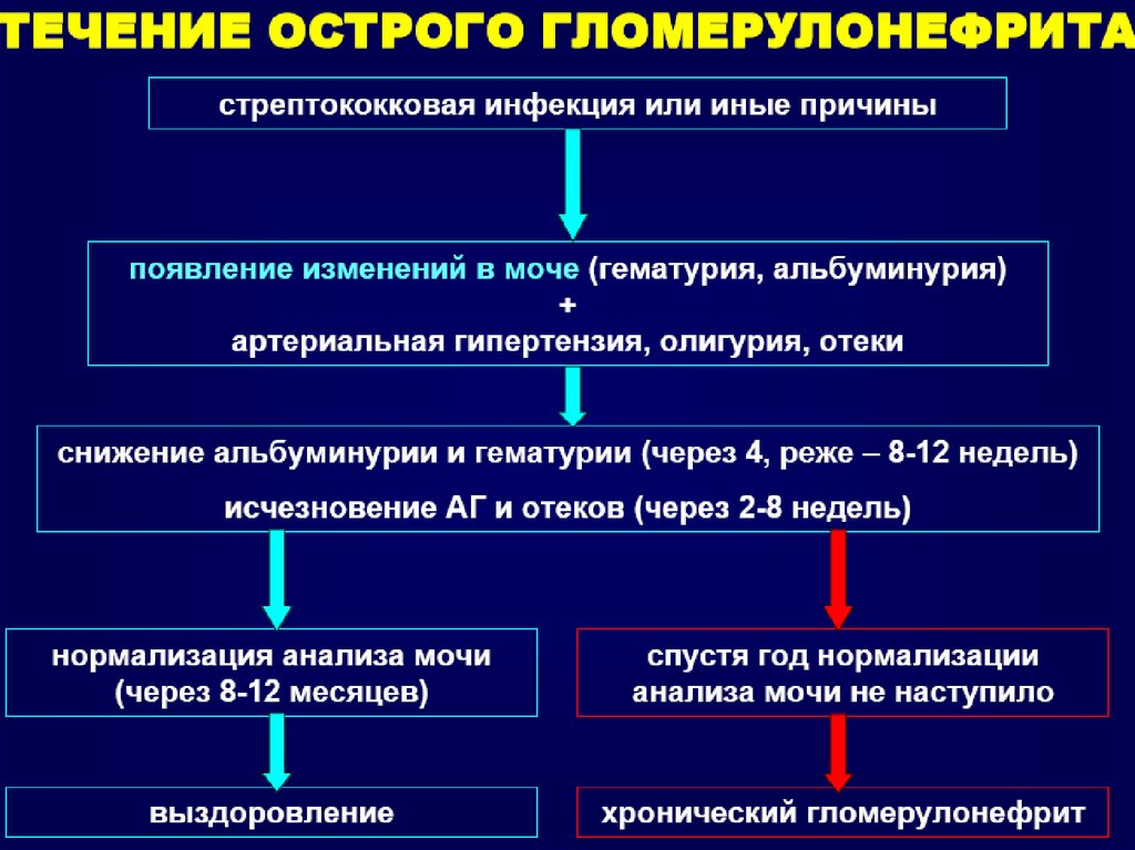 Гломерулонефрит - презентация онлайн