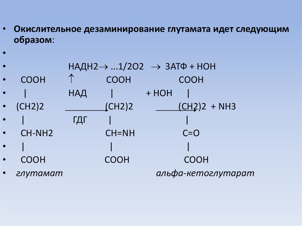 Непрямое окислительное дезаминирование