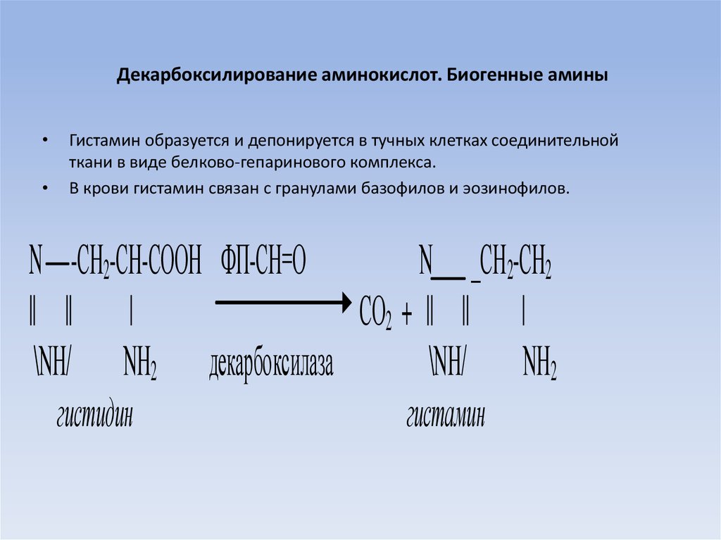 Синтез биогенных аминов