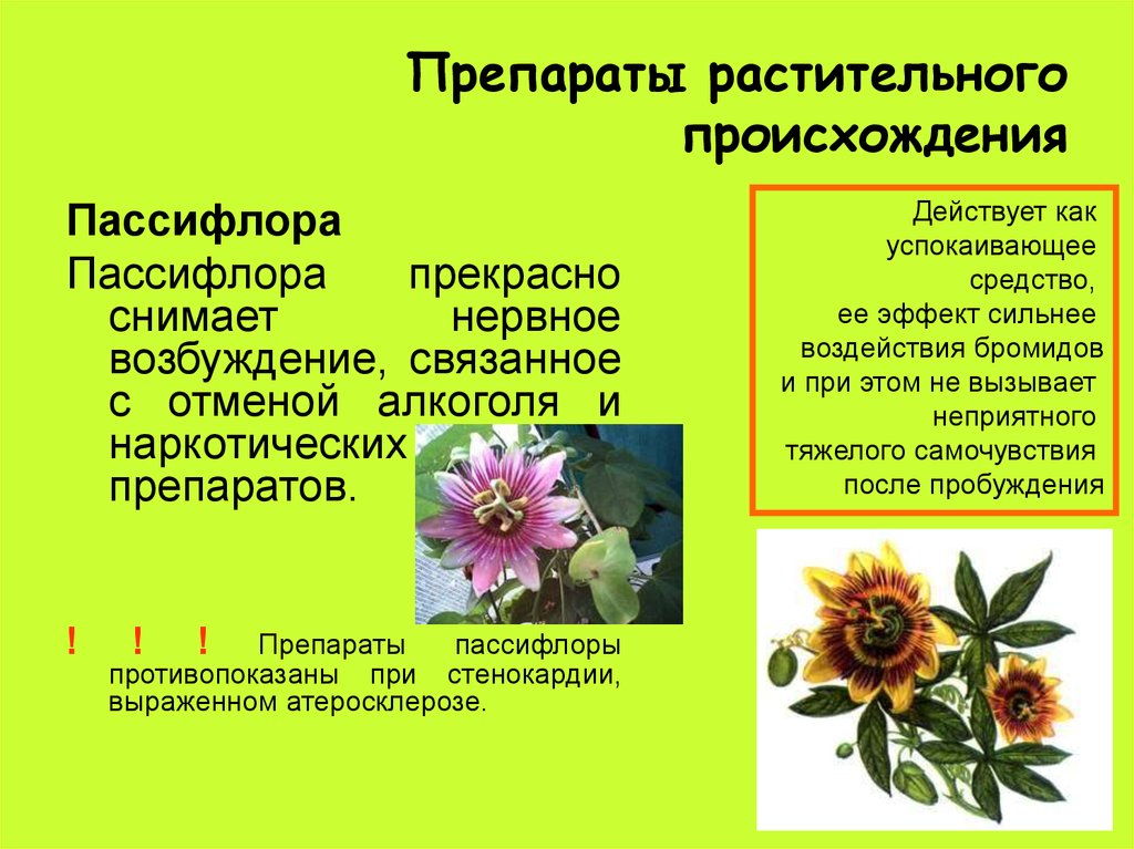 Средства растительного происхождения. Препараты растительного происхождения. Прокинетики препараты растительного происхождения. Седативные растительного происхождения. Мази растительного происхождения.