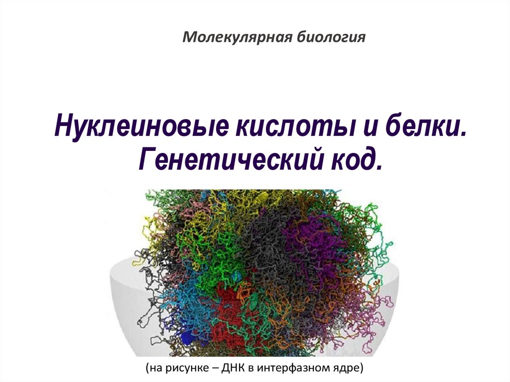 Генетический код презентация 10 класс биология