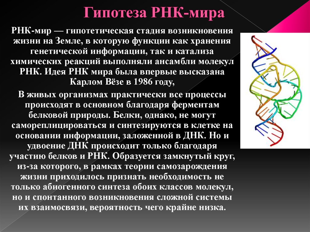 Развитие рнк. Гипотеза РНК происхождение жизни. Мир РНК теория происхождения жизни. РНК происхождение жизни.
