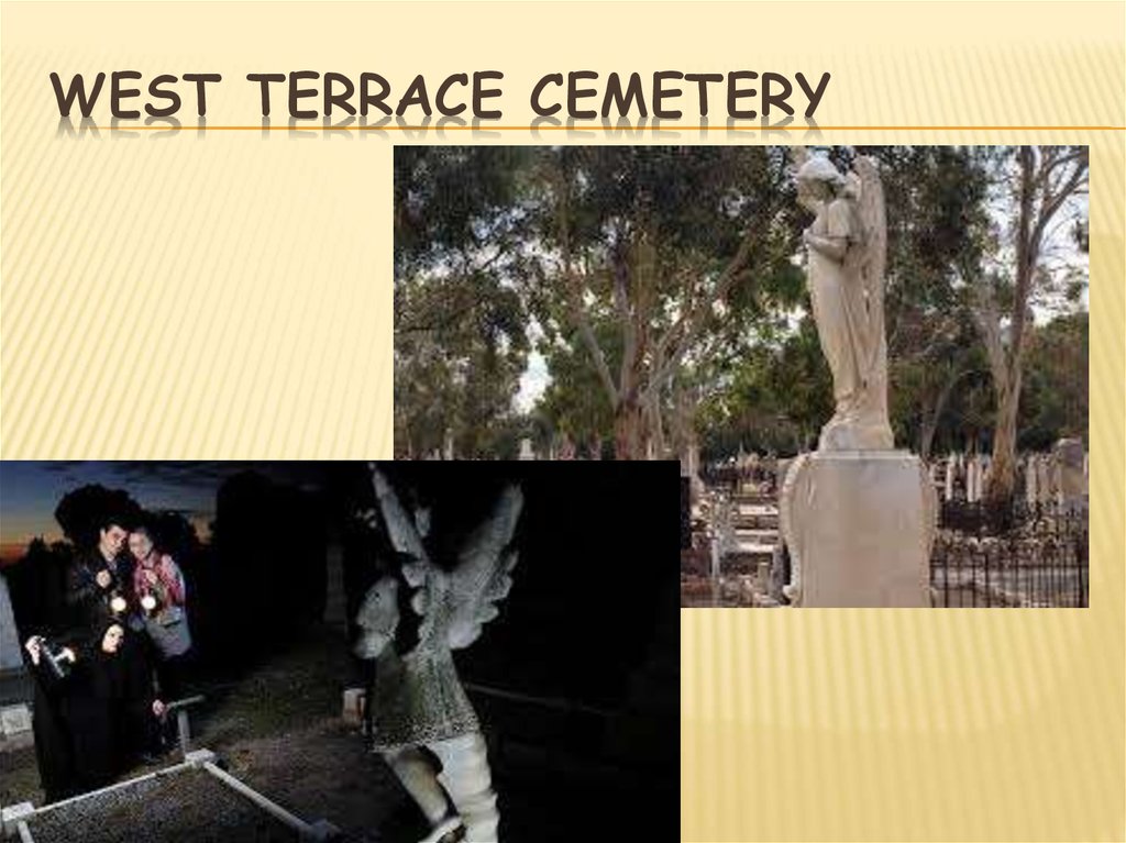 West Terrace Cemetery