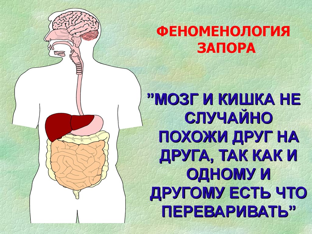 Запор больно. Запор презентация. Презентация на тему хронический запор у детей. Презентация на тему запоры у беременных.