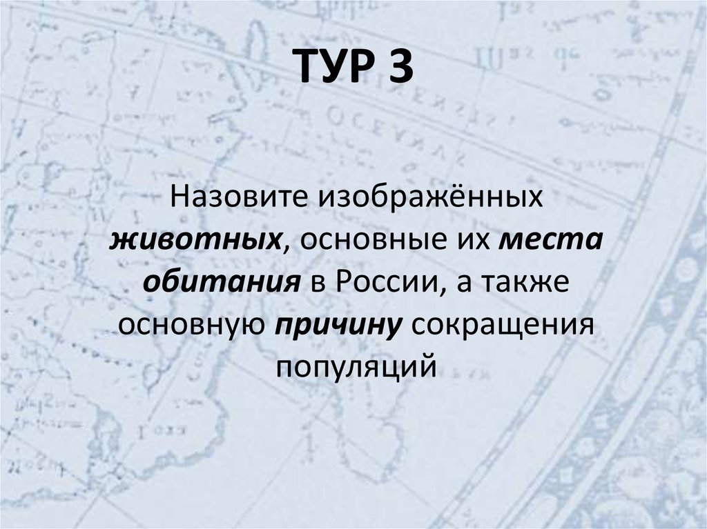 ТУР 3