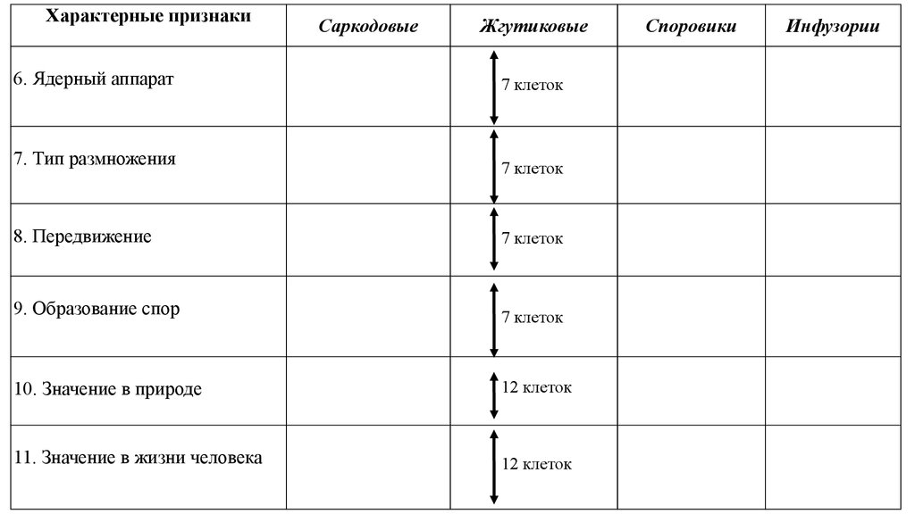 Саркодовые жгутиковые инфузории споровики