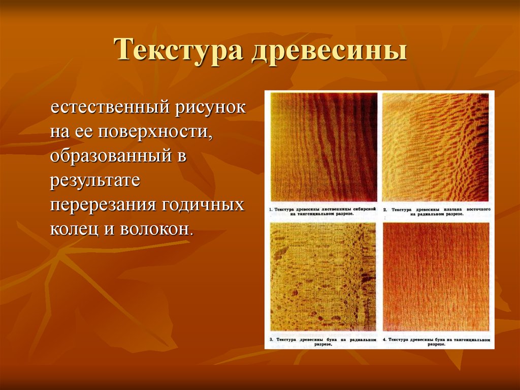 Рисунок на поверхности древесины образованный в результате перерезания годичных колец и волокон