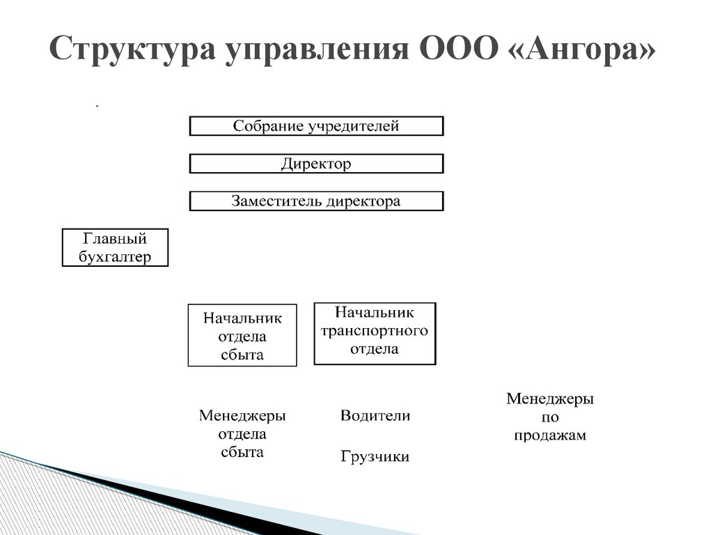 Структура общества схема