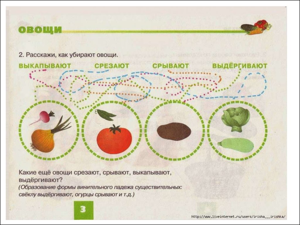 Карточки по лексическим темам. Овощи и фрукты (развитие речи) - презентация  онлайн