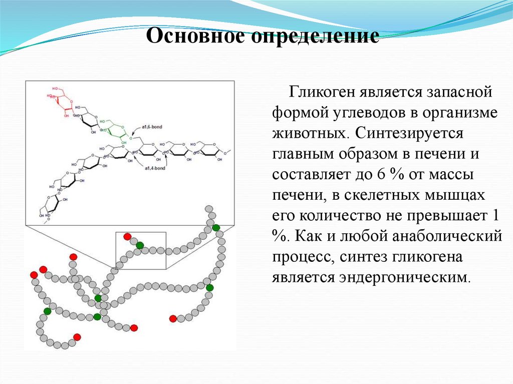 Синтез углеводов и белка. Биосинтез углеводов. Запасная форма углеводов в организме. Процесс Биосинтез углеводов. Биосинтез углеводов схема.