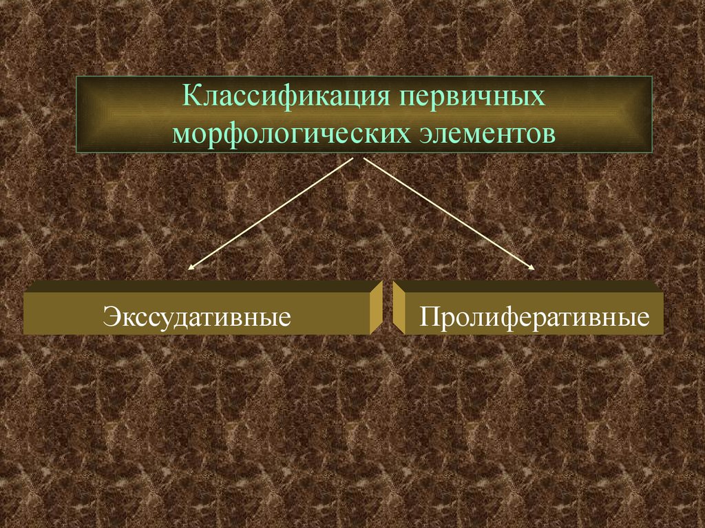 Первичная классификация. Классификация морфологических элементов. Классификация первичных морфологических элементов. Классификация морфологических элементов кожи. Первичные морфологические элементы кожи классификация.