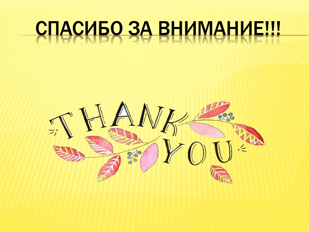 Спасибо за внимание!!!