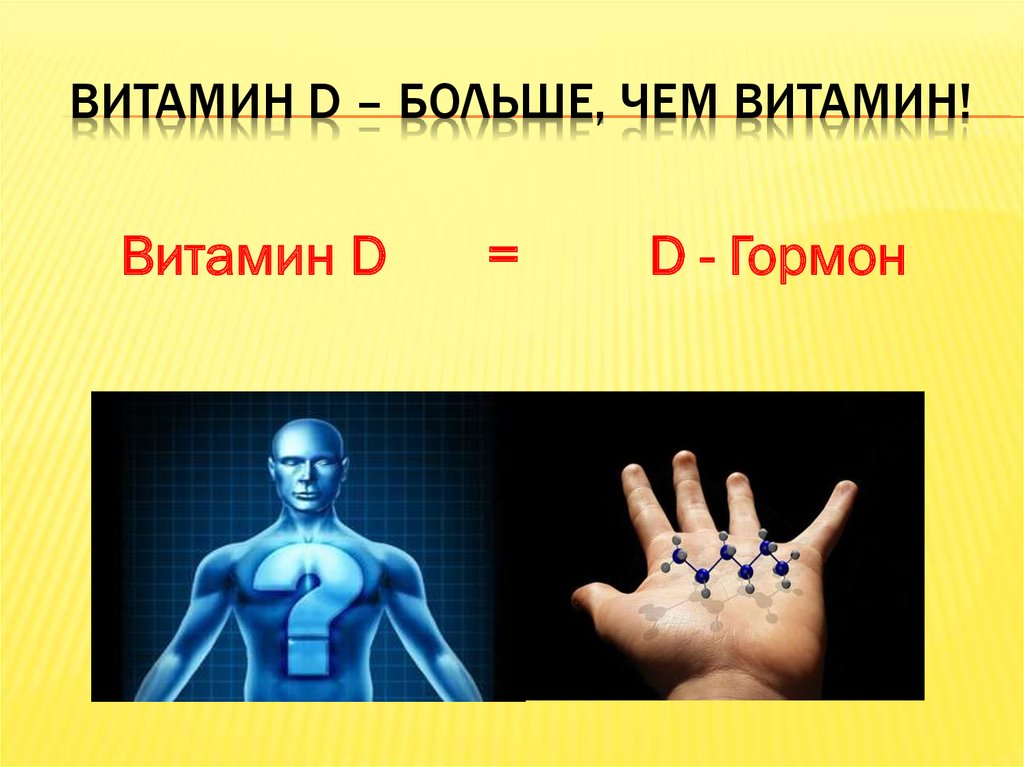 Витамин D – больше, чем витамин!