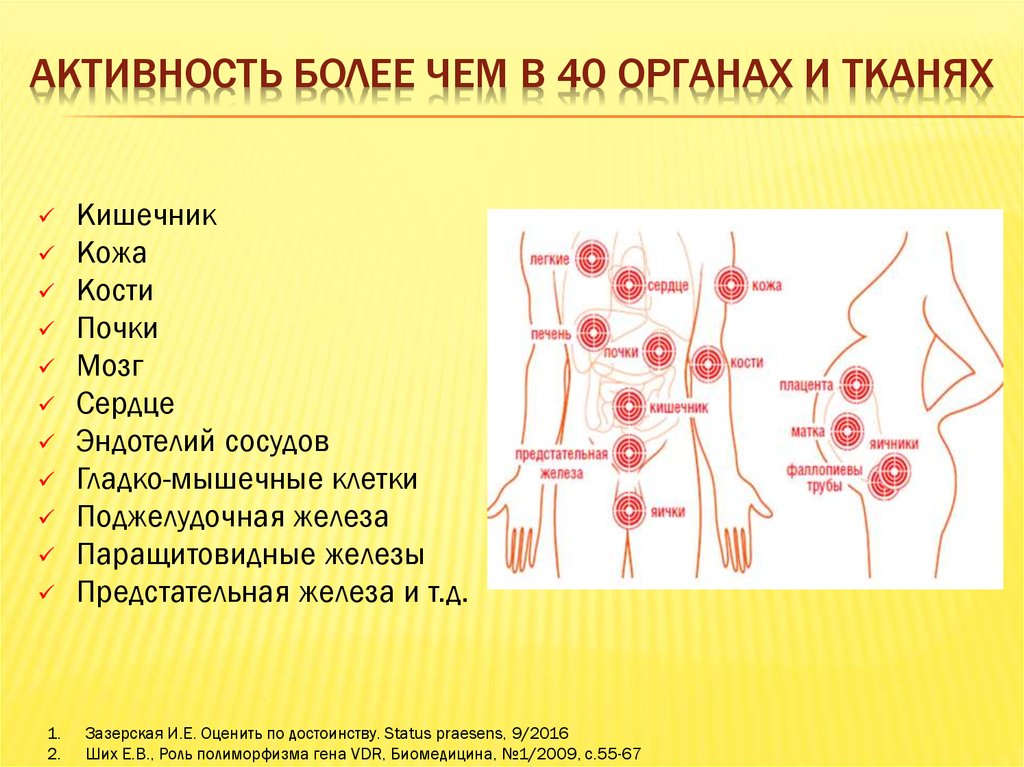 Более активность. Витамин д роль в организме. Влияние витамина д на организм. Витамин д в организме человека его роль. Роль витамина д в организме человека.