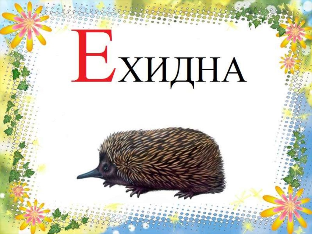 Слова на букву е в начале. Слова на букву е. С̆̈л̆̈о̆̈в̆̈ӑ̈ н̆̈ӑ̈ б̆̈ў̈к̆̈в̆̈ў̈ Ӗ̈. Слова на букву е для детей.