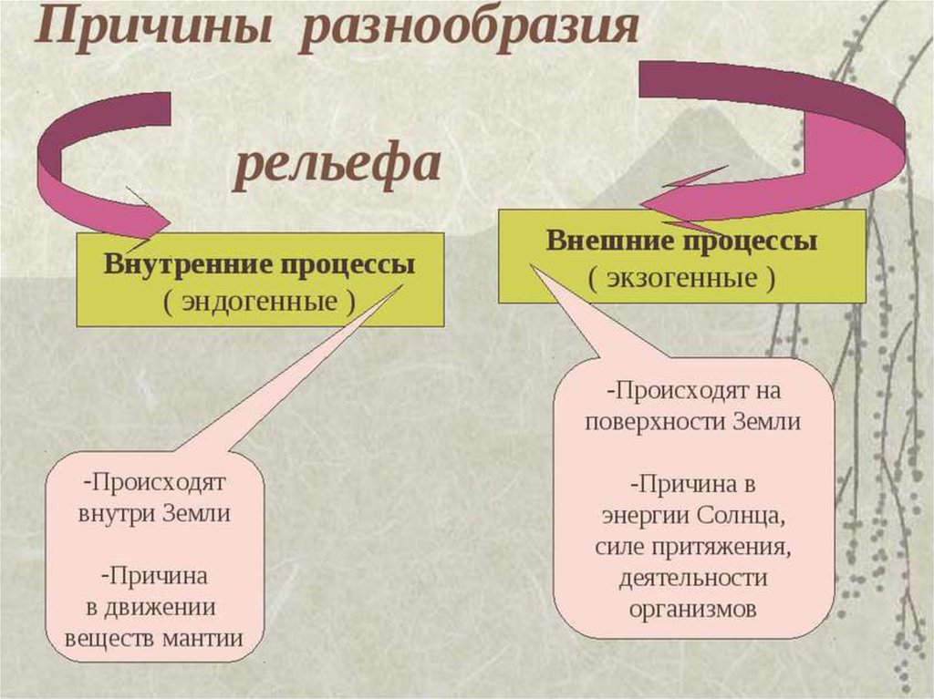 Эндогенные процессы презентация