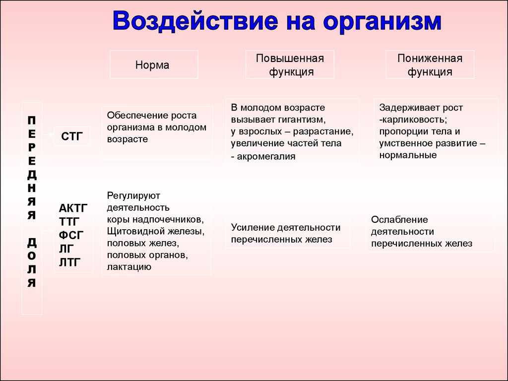 Какая из перечисленных желез