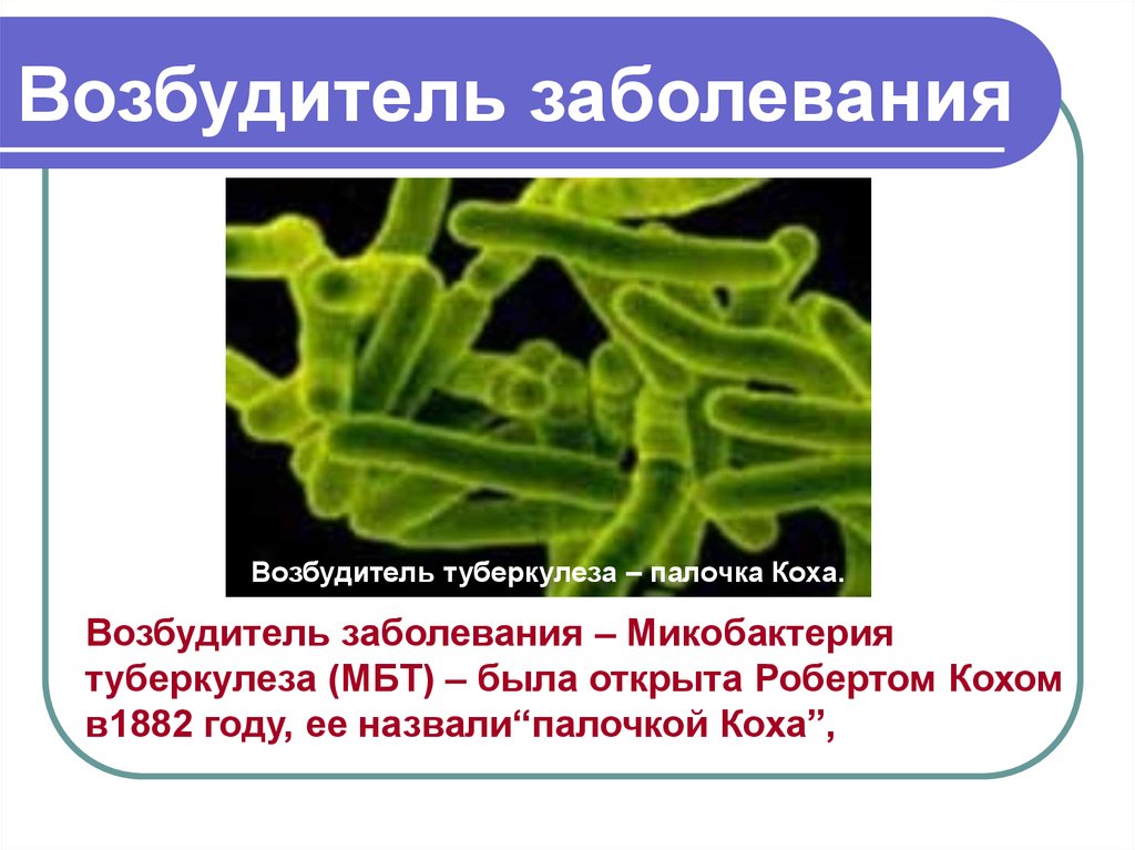 Микобактерии заболевания