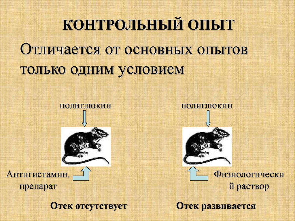 Основной опыт. Контрольный опыт это. Контрольный эксперимент это. Контрольный опыт это в биологии. Контрольный опыт определение.