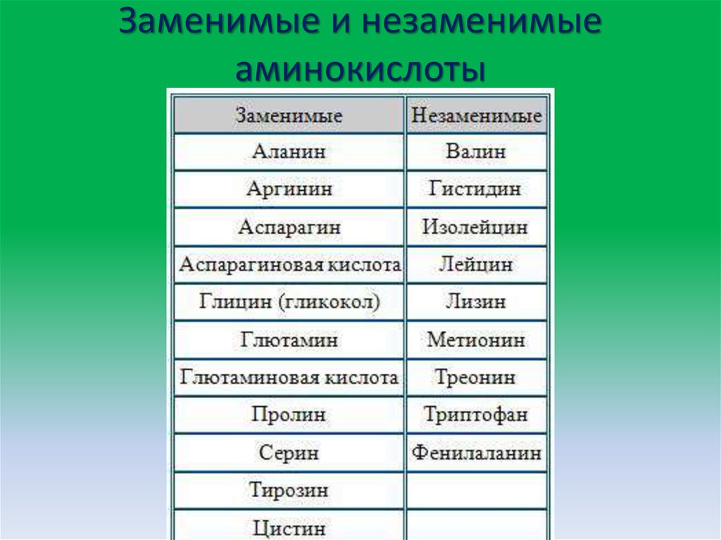 Аминокислоты являются белков. Заменимые и незаменимые аминокислоты таблица. Заменимые незаменимые и полузаменимые аминокислоты. Классификация аминокислот заменимые и незаменимые. Заменимые аминокислоты примеры.