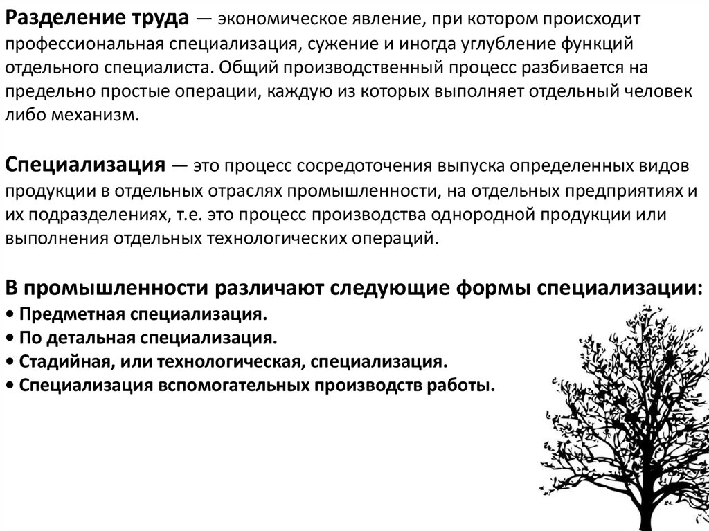 Просто поразительно какие грандиозные масштабы приняла в обществе специализация план текста