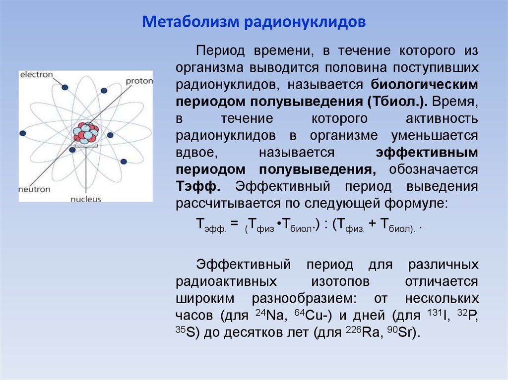 Эффективный период. Метаболизм радионуклидов. Закономерности метаболизма радионуклидов в организме животных. Период полувыведения радионуклидов из организма. Токсичные элементы в радионуклиды.