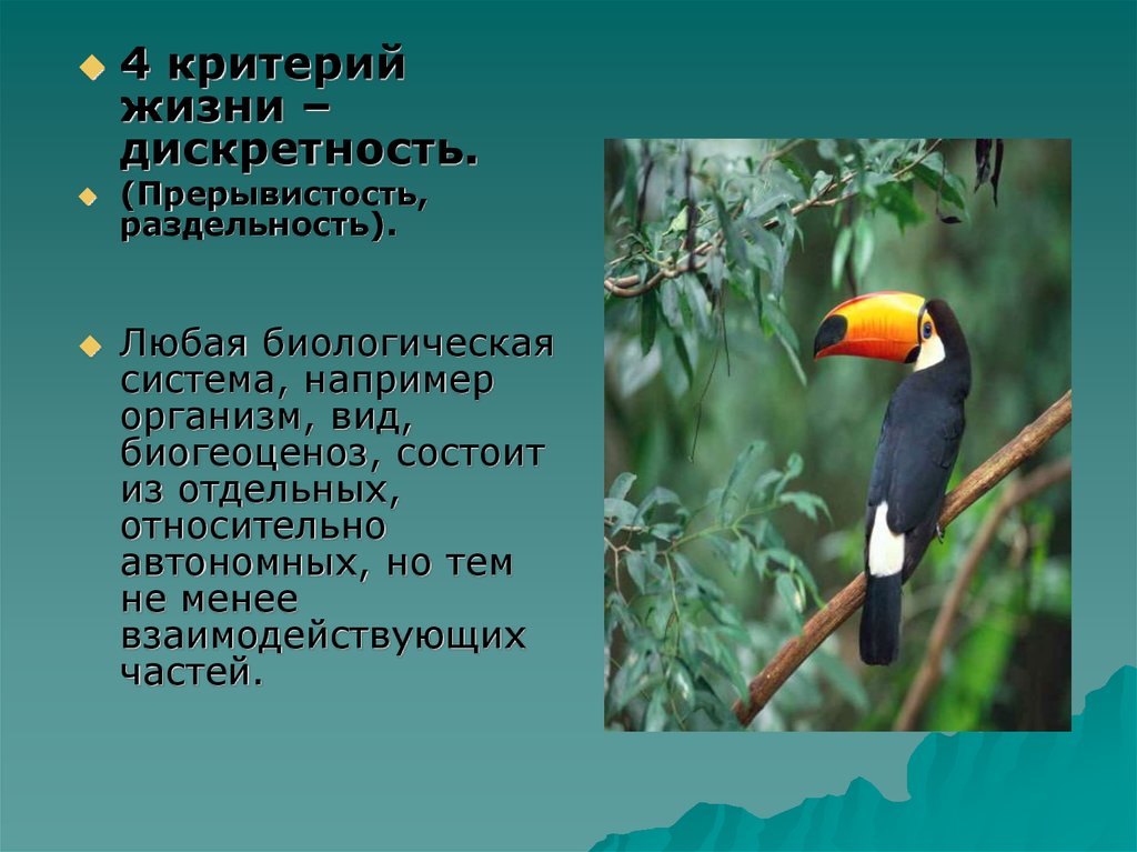 Дискретность это в биологии. Дискретность в биологии примеры. Дискретная система биология. Прерывистость это в биологии.