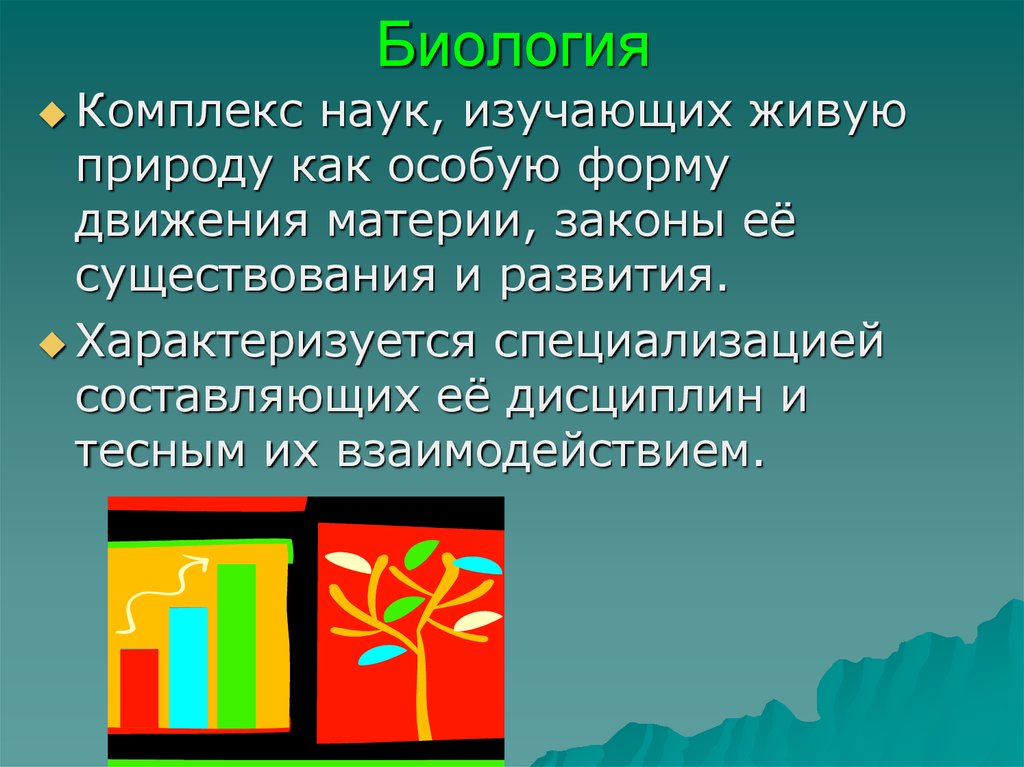 Уровни Организации Жизни Презентация