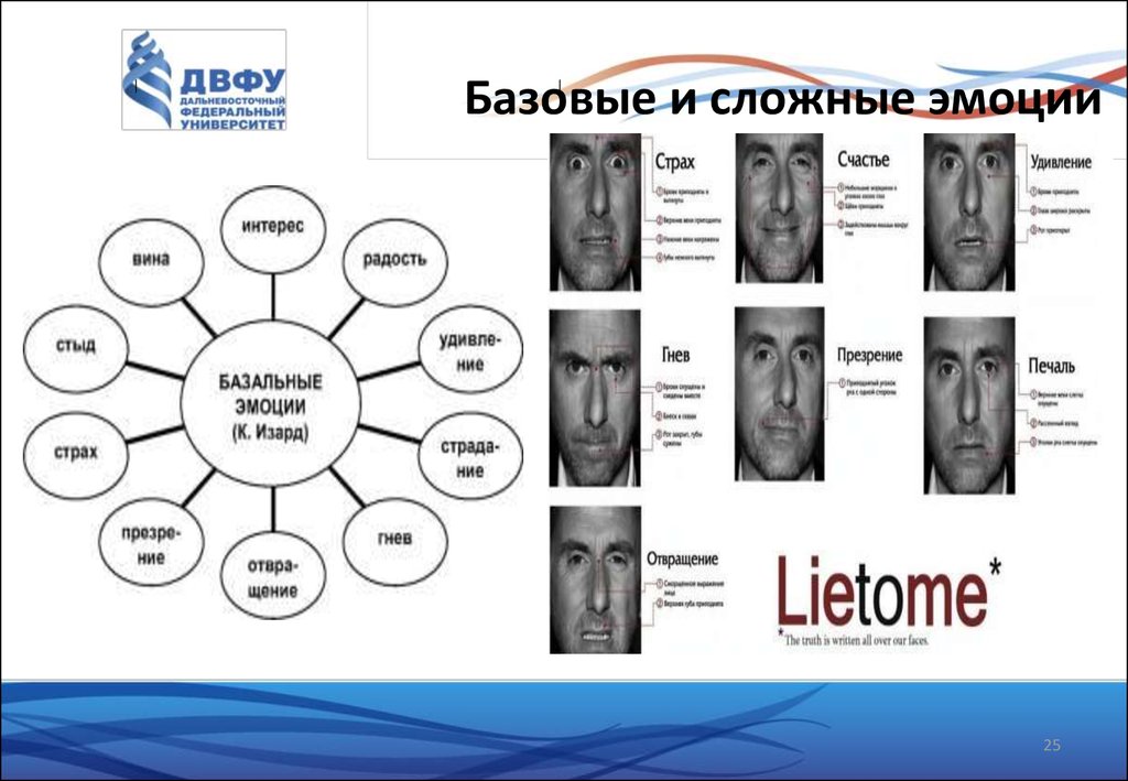 Не каких эмоций. Базовые эмоции. Список базовых эмоций. Базовые эмоции человека. Основные человеческие эмоции.