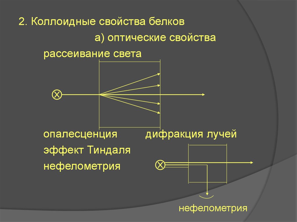 Рассеивание света. Оптические и коллоидные свойства белков. Рассеивание света схема. Оптическое рассеивание.