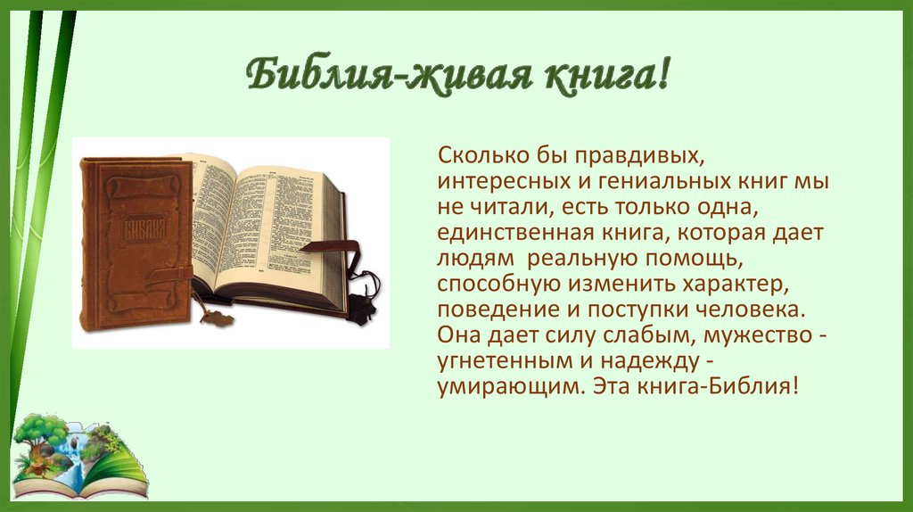 Читать библию на русском каждый день. Библия книга. Библия в библиотеке. Живая Библия. История создания Библии.