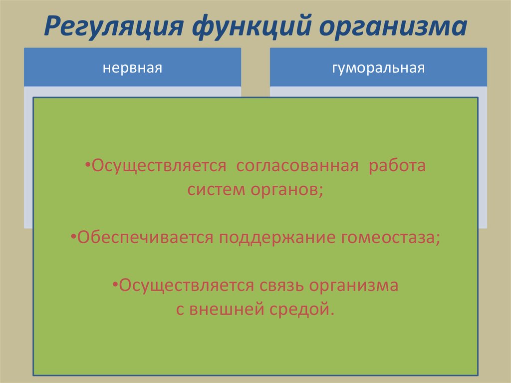 Регуляция жизнедеятельности организма